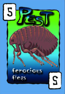 ferocious fleas