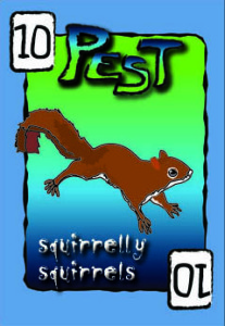 squirrelly squirrels